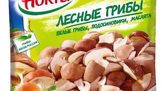 Грибная смесь для супчика