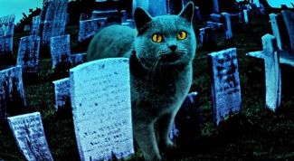 Настоящий хоррор