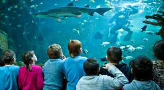 Тематический океанариум 