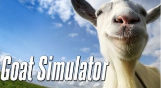 Забавный симулятор