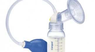 Хорошо сцеживает молоко