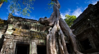 Незабываемые впечатление, знакомство с архитектурой, насчитывающей около 1000 лет
