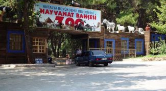 Анатолийский зоопарк один самых непохожих на зоопарки