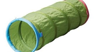 Дети просто в восторге