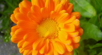 Тающая консистенция