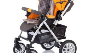 Многофункциональная недорогая коляска