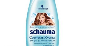 Появилась перхоть