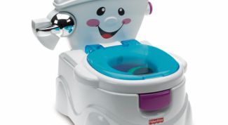 Скорее игрушка, чем предмет для обучения