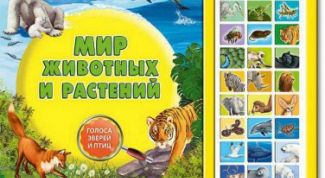 Понятная для ребенка