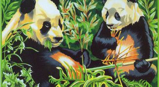 Поможет приятно провести время