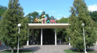 На большую часть дня досуг обеспечен