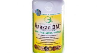 Каждый дачный сезон вместе с удобрением "Байкал ЭМ-1"