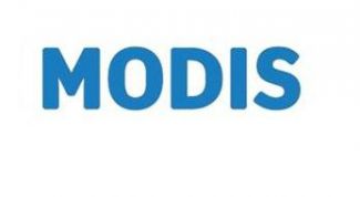 МODIS - магазин недорогой одежды