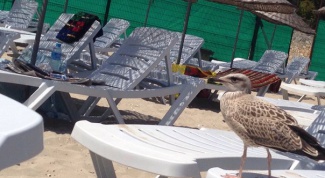 Платный городской пляж в европейской части Стамбула