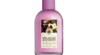 Мой ежевичный вечер