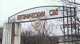 То лес, то степь кругом...