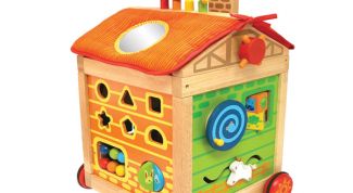 Яркая развивающая игрушка