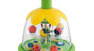 Красивая, но дорогая