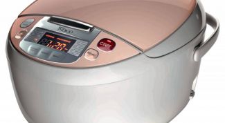 Хорошая мультиварка, но с небольшой оговоркой