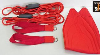 Что такое Экзарта mini и чем она полезна?