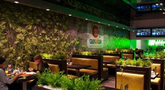 Раньше очень нравилось