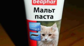 Отличный помощник в пищеварении для кошек