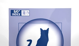 Пять лет &ndash; полет нормальный