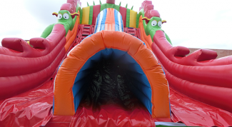 Отзыв о надувном батуте "Змей Горыныч" от компании БатутМастер