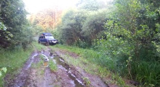 Хороший "крокодил" для леса