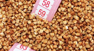 Еще раз доказала мне всю опасность диет