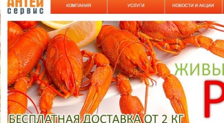 Отзыв на службу доставки