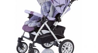Приятная прогулка с малышом в коляске от фирмы Capella
