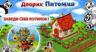 Дворик для мазохистов