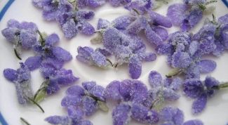 Повести о сильных женщинах