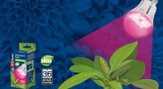 Экономичная досветка для растений