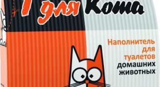 Недорогой, но самый любимый 