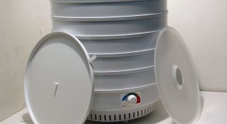 Бюджетная сушилка для овощей и фруктов Ветерок-2