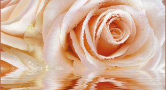 Очень красиво и недорого