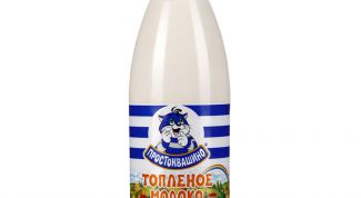 Топленое молоко как молочный коктейль без добавок