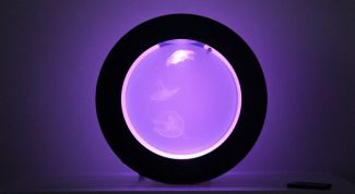 Сделали нам хороший аквариум 