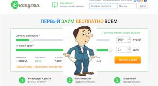 Обзор-отзыв о займе на е-капуста