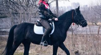 Хороший выбор подарков