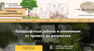 Нам фирма понравилась