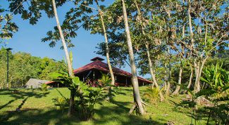 От эмоций голова кругом!