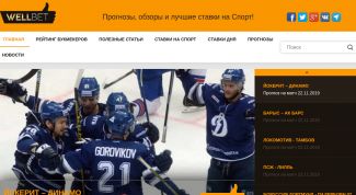 Работой сайта остался доволен