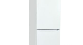 Indesit DS 318 W