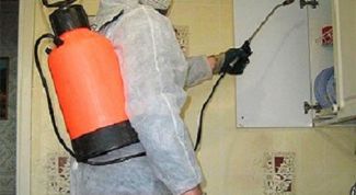 Избавление от муравьёв