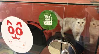 Самая лучшая гостиница для животных!