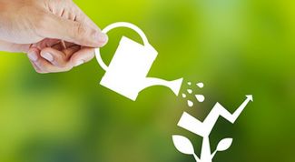 Условия неплохие