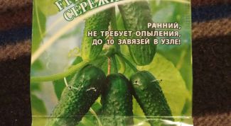 Как я растила дома огурцы сорт "Изумрудные сережки"от агрофирмы ГАВРИШ